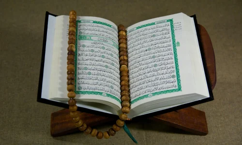 memorization (1) memorization (1)
